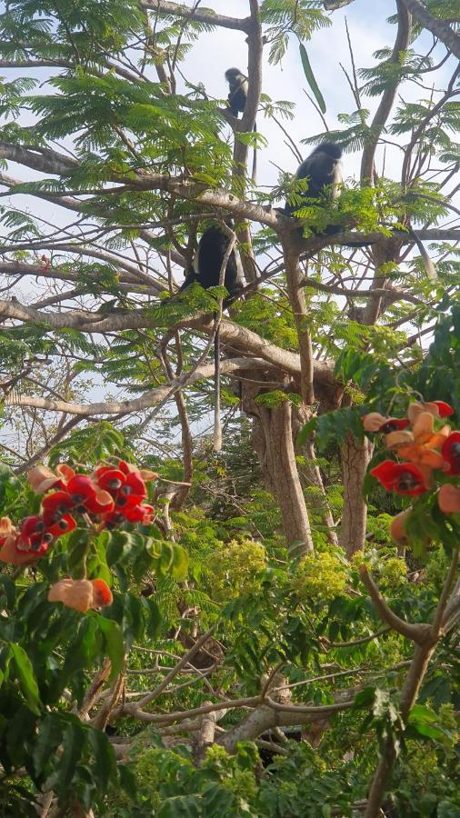 Kwale Mami Wata House B&B 외부 사진